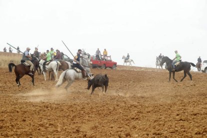 El sur de la provincia vuelve a demostrar su gran afición taurina.