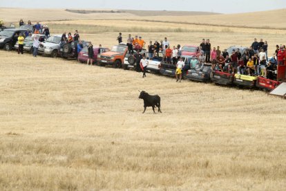 El sur de la provincia vuelve a demostrar su gran afición taurina.