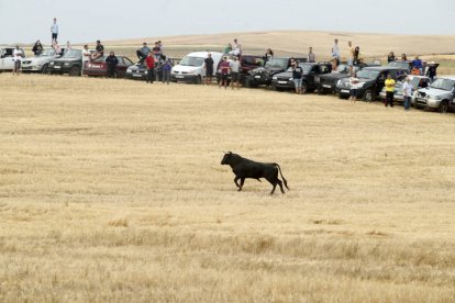 El sur de la provincia vuelve a demostrar su gran afición taurina.