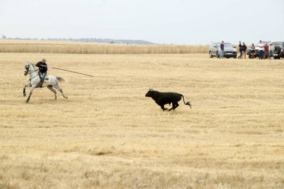 El sur de la provincia vuelve a demostrar su gran afición taurina.