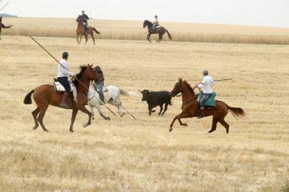 El sur de la provincia vuelve a demostrar su gran afición taurina.