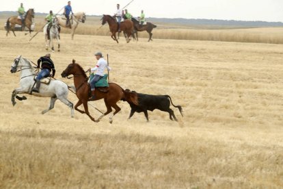 El sur de la provincia vuelve a demostrar su gran afición taurina.