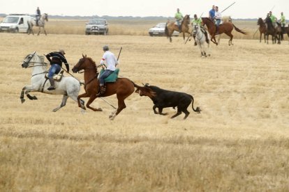 El sur de la provincia vuelve a demostrar su gran afición taurina.