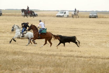 El sur de la provincia vuelve a demostrar su gran afición taurina.