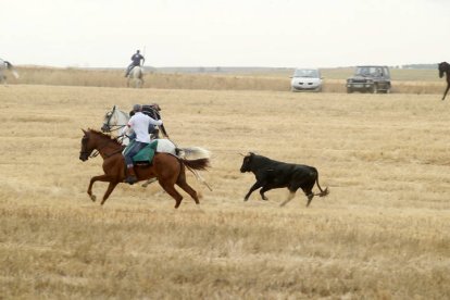 El sur de la provincia vuelve a demostrar su gran afición taurina.