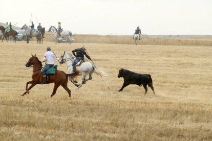 El sur de la provincia vuelve a demostrar su gran afición taurina.