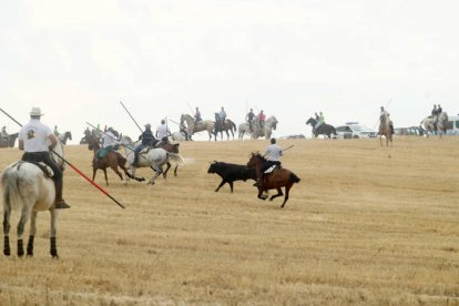 El sur de la provincia vuelve a demostrar su gran afición taurina.