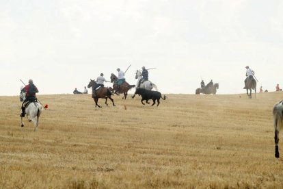 El sur de la provincia vuelve a demostrar su gran afición taurina.