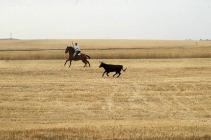 El sur de la provincia vuelve a demostrar su gran afición taurina.