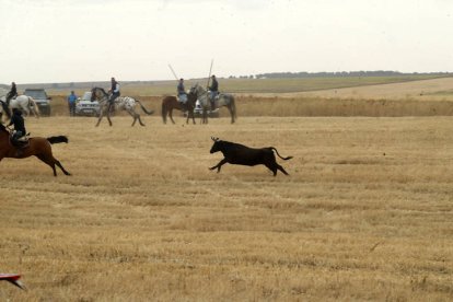 El sur de la provincia vuelve a demostrar su gran afición taurina.