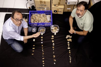 El fotógrafo Juan María Álvarez (d) y el catedrático de Prehistoria José Ramos muestran una cadena operativa lítica con bases naturales, núcleos, lascas y productos retocados, elaborados por sociedades Neandertales. Piedras talladas del Paleolítico, como puntas musterienses, raederas o denticulados, además de moluscos y restos óseos de animales del período Holoceno, son algunos de los cientos de vestigios prehistóricos que un vecino de Málaga ha hallado casualmente en unos montículos de arena depositada en la playa Sacaba. EFE/Jorge Zapata.