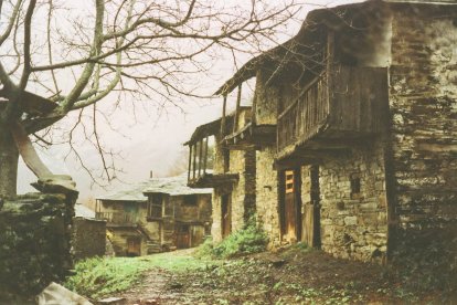 La Diputación, el Consejo del Bierzo y el PSOE salen en tromba contra la apropiación del godello por Rueda