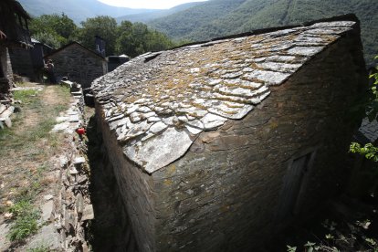 La Diputación, el Consejo del Bierzo y el PSOE salen en tromba contra la apropiación del godello por Rueda