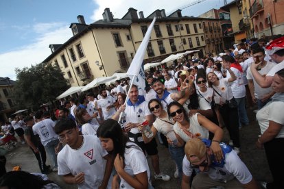 Las peñas son protagonistas este año en las Fiestas de la Encina.