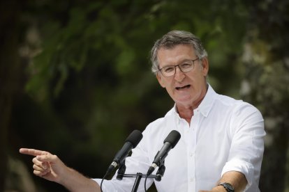 Imagen de archivo del líder del PP, Alberto Núñez Feijóo. EFE/Lavandeira jr