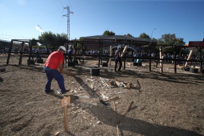 Una decena de parejas y numeroso público dio forma al certamen.