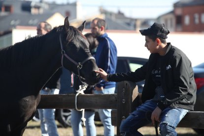 Participantes y asistentes en la feria de ganado y el mercado de productos.