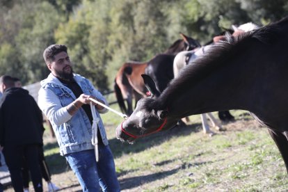 Participantes y asistentes en la feria de ganado y el mercado de productos.