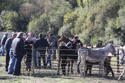 Participantes y asistentes en la feria de ganado y el mercado de productos.