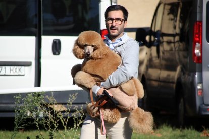 León celebra la XXXI edición de la Exposición Nacional Canina, con monográficos de Alano Español, Cane Corso, Perros Nórdicos y Akita Inu.