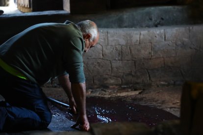 Noceda celebra su Fiesta de la VendimIa con una pisada infantil de la uva y la elaboración tradicional del vino en el lagar recuperado por la pedaníaNoceda celebra su Fiesta de la VendimIa con una pisada infantil de la uva y la elaboración tradicional del vino en el lagar recuperado por la pedanía