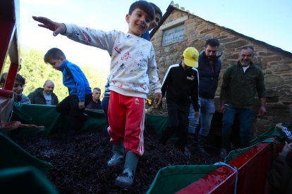 Noceda celebra su Fiesta de la VendimIa con una pisada infantil de la uva y la elaboración tradicional del vino en el lagar recuperado por la pedaníaNoceda celebra su Fiesta de la VendimIa con una pisada infantil de la uva y la elaboración tradicional del vino en el lagar recuperado por la pedanía