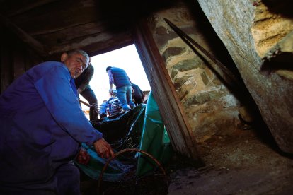 Noceda celebra su Fiesta de la VendimIa con una pisada infantil de la uva y la elaboración tradicional del vino en el lagar recuperado por la pedaníaNoceda celebra su Fiesta de la VendimIa con una pisada infantil de la uva y la elaboración tradicional del vino en el lagar recuperado por la pedanía