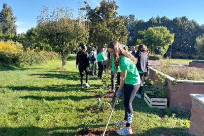 El Grupo Iberdrola celebra la XIII edición de su Semana Internacional del Voluntariado entre el 28 de septiembre y el 6 de octubre bajo el lema "Yo creo en un mundo mejor"