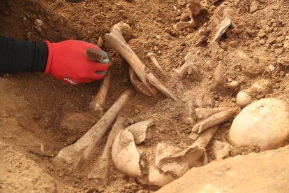 Concluyen las excavaciones para exhumar víctimas de la represión franquista en el cementerio del Carmen de Ponferrada