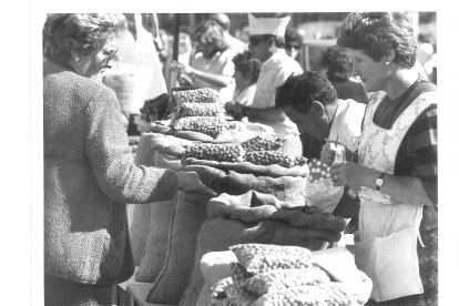 Fotografías de Archivo de San Froilán