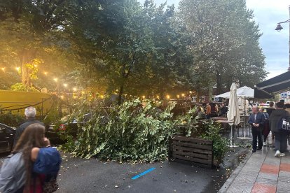 Una rama de grandes dimensiones ha caído sobre una furgoneta de la Food Truck y un Mercedes.