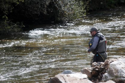 Un pescador, durante la semana internacional de la trucha