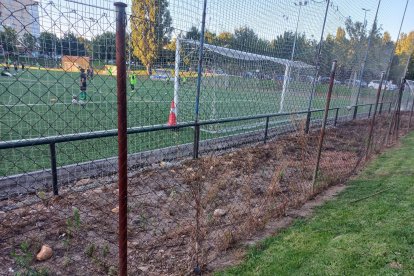 Campo de fútbol del Pinilla.