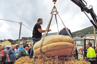 Pesaje de una de las calabazas participantes en el certamen del año pasado.