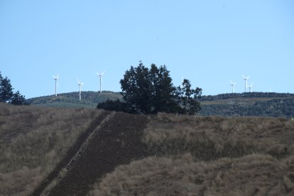 Las cicatrices del carbón en los montes del Bierzo Alto