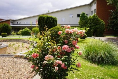 Facultad de Ingeniería Agraria de León.