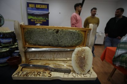 Apertura de la Feria de la Miel en Camponaraya