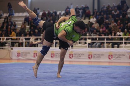 Corro Campeón de Campeones de lucha leonesa