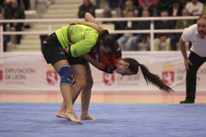 Corro Campeón de Campeones de lucha leonesa