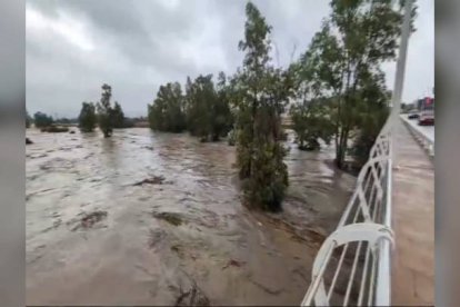 Captura de video que muestra el río Magro desbordado en Utiel y obliga a los bomberos a evacuar bajos y comercios. Varias víctimas mortales en un número sin determinar en Valencia.