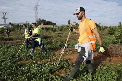 Un grupo de voluntarios rastrean los alrededores de la localidad de Torrent en busca de cuerpos arrastrados por las riadas, este viernes. Diez días después de la tragedia, los servicios de emergencia apuran hasta el límite la búsqueda de desaparecidos por la dana en Vàlencia, mientras, en medio de un cruce político de acusaciones entre administraciones por la gestión de la crisis, los miles de damnificados evalúan los daños y su vida sigue condicionada por los problemas de movilidad, el cese de la actividad económica en la zona y los riesgos para la salud que afrontan también  profesionales y voluntarios sobre el terreno. EFE/Jorge Zapata