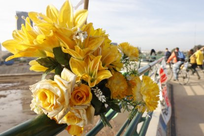 ista de un ramo de flores como señal de agradecimiento junto a los voluntarios que cruzan la pasarela peatonal que conecta la ciudad con su pedanía de La Torre y que ha sido denominado como Puente de la Solidaridad este sábado en Valencia. Una marea humana y material de emergencia afronta el fin de semana con el reto de avanzar en la recuperación de la zona cero de la dana que asoló Valencia hace once días y de encontrar más personas desaparecidas, todo ello en medio de un 'ejército' de voluntarios, una ingente cantidad de ayuda solidaria y el eco incesante de la polémica política en torno a la gestión de aquel fatídico 29 de octubre.
                      Una marea humana y material de emergencia afronta el fin de semana con el reto de avanzar en la recuperación de la zona cero de la dana que asoló Valencia hace once días y de encontrar más personas desaparecidas, todo ello en medio de un 'ejército' de voluntarios, una ingente cantidad de ayuda solidaria y el eco incesante de la polémica política en torno a la gestión de aquel fatídico 29 de octubre. EFE/ Ana Escobar