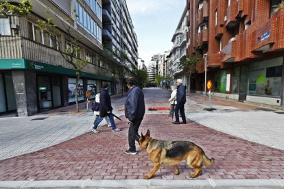 En el decreto se recoge que en la peatonalización de Gil y Carrasco, Alfonso V, San Agustín se verán afectadas también Alférez Provisional, Alcázar de Toledo, entre San Agustín y la plaza de la Inmaculada, Villabenavente, de Arquitecto Torbado a Burgo Nuevo, Fuero y Arco de Ánimas. No pasa lo mismo en Ramiro Valbuena, donde las limitaciones sólo afectan a esta vía, aunque incide en las perpendiculares; pero sí en Carreras y Los Cubos, en las que entra en restricción también de manera colateral Pelayuelo y Pontón.