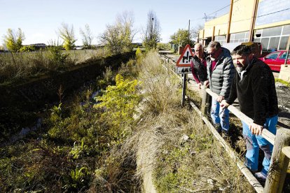 David Martínez, Modesto Fernández y Javier Cuevas se asoman al canal del Carbosillo lleno de maleza.