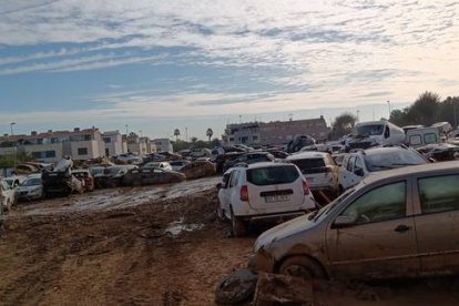 Vehículos amontonados en uno de los cementerios de coches que hay en los pueblos de la zona devastada por la dana en Valencia.