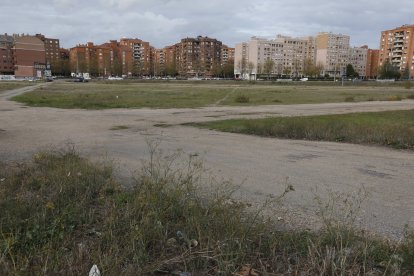 La calle de vertebración del sector cruzará de Alcalde Miguel Castaño a la avenida Europa.