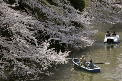 Una pareja de ancianos pasa junto a un cerezo en flor mientras disfruta de un paseo en barca por un lago en Tokio (Japón), en una imagen de archivo. EFE/Kimimasa Mayama