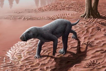 Reconstrucción del gorgonopsio descubierto en Mallorca. Fotografía facilitada por Henry Sutherland Sharpe. EFE