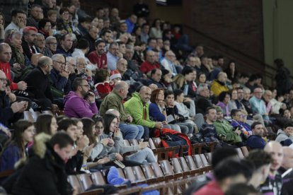 Aficionados del Ademar, durante un partido de esta temporada en Liga.