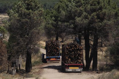 Labores de recuperación en Castrocontrigo.